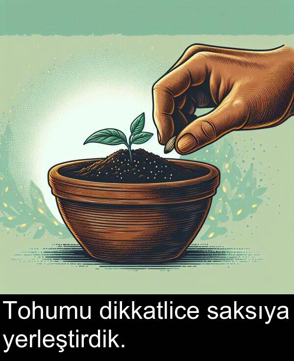 saksıya: Tohumu dikkatlice saksıya yerleştirdik.