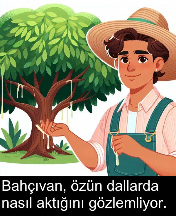 nasıl: Bahçıvan, özün dallarda nasıl aktığını gözlemliyor.