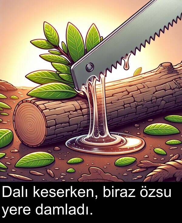yere: Dalı keserken, biraz özsu yere damladı.