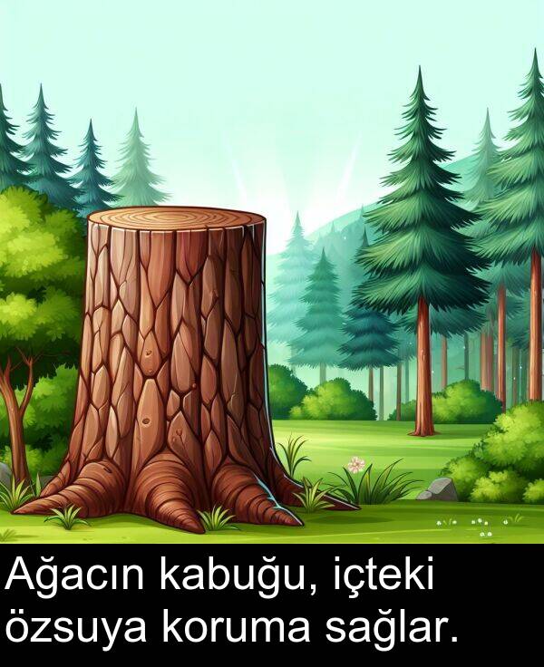 sağlar: Ağacın kabuğu, içteki özsuya koruma sağlar.