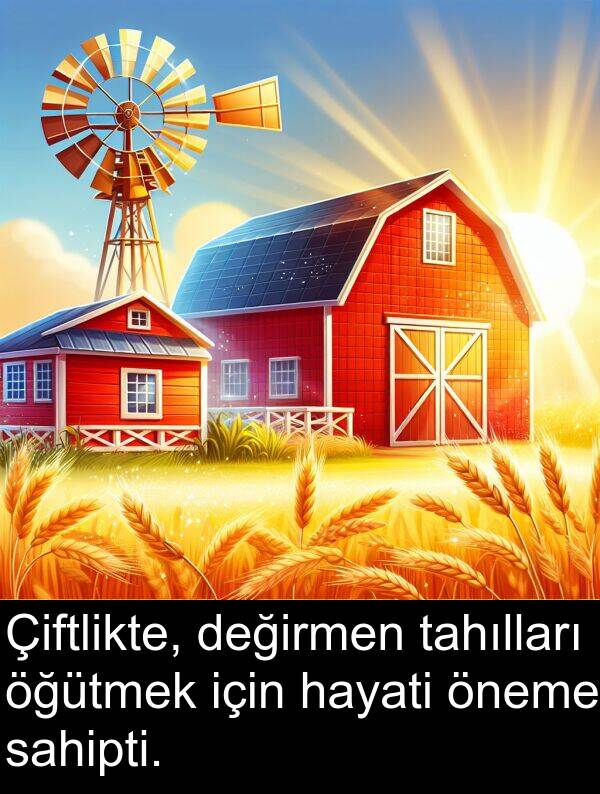 sahipti: Çiftlikte, değirmen tahılları öğütmek için hayati öneme sahipti.