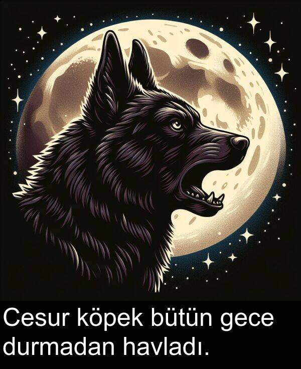 gece: Cesur köpek bütün gece durmadan havladı.