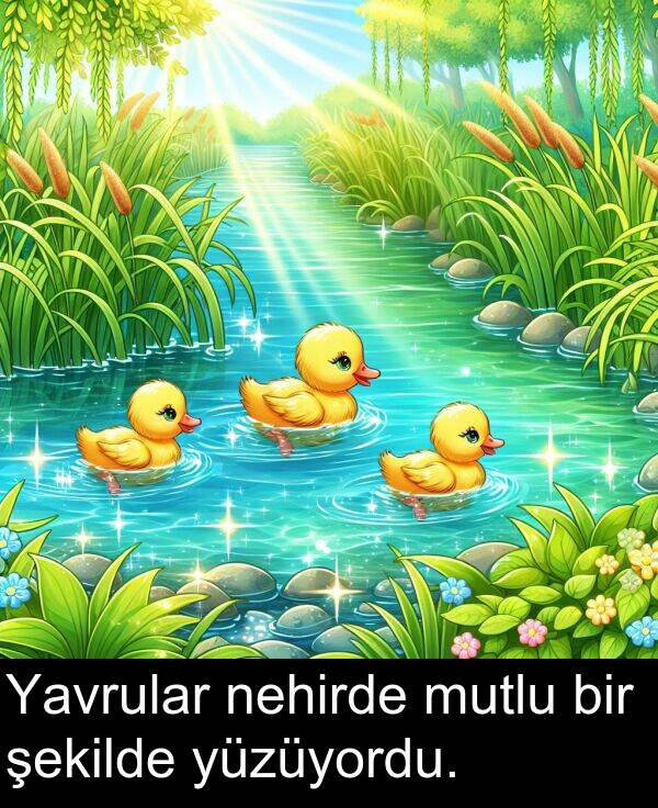 nehirde: Yavrular nehirde mutlu bir şekilde yüzüyordu.