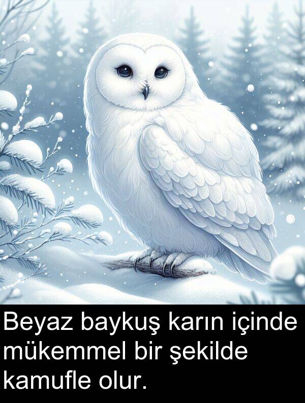 içinde: Beyaz baykuş karın içinde mükemmel bir şekilde kamufle olur.
