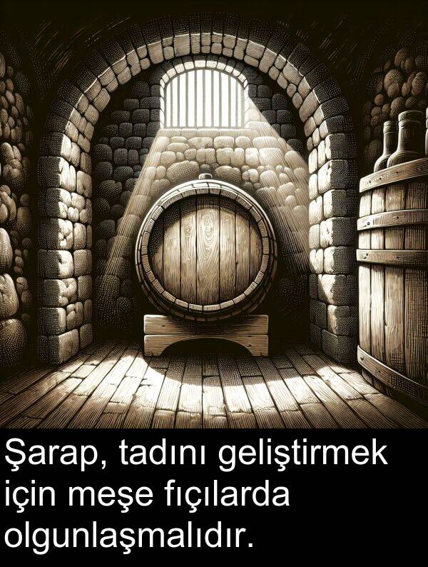 geliştirmek: Şarap, tadını geliştirmek için meşe fıçılarda olgunlaşmalıdır.