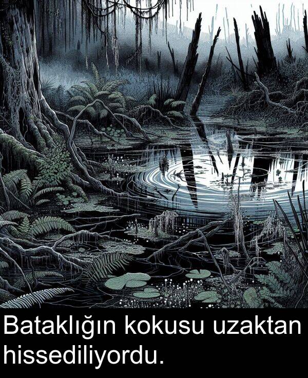 hissediliyordu: Bataklığın kokusu uzaktan hissediliyordu.