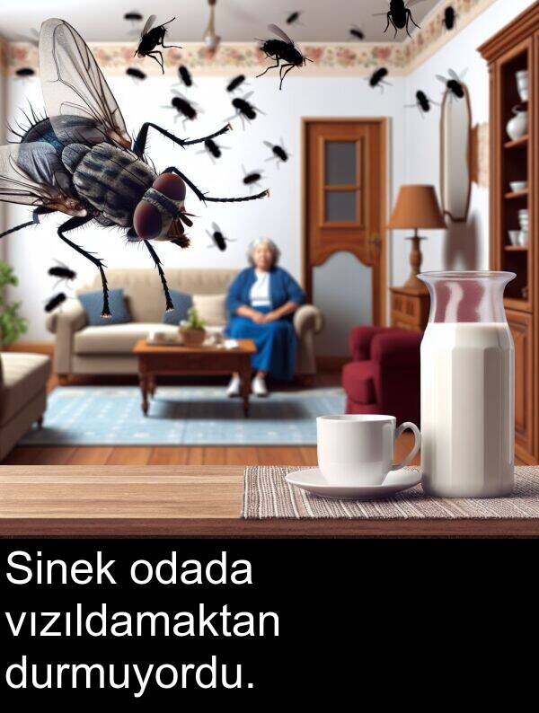 odada: Sinek odada vızıldamaktan durmuyordu.