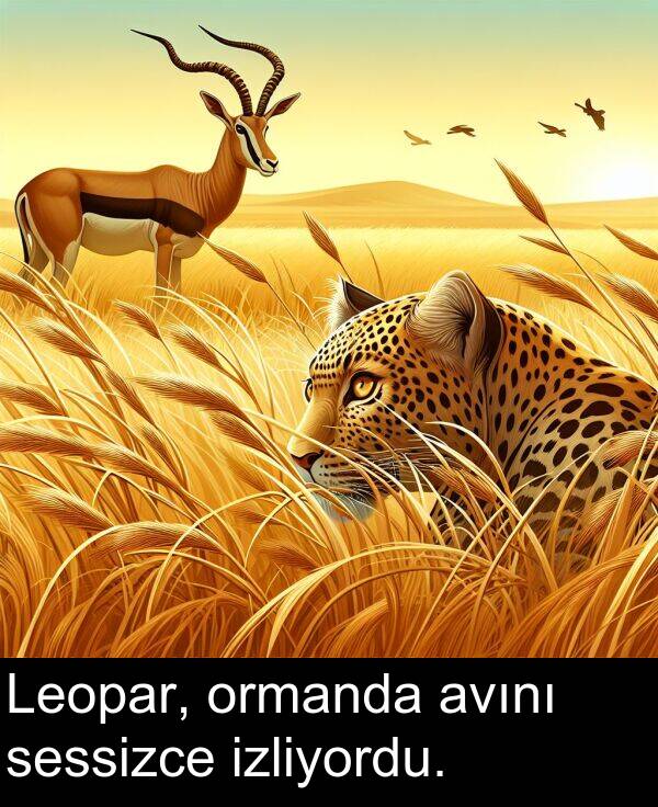avını: Leopar, ormanda avını sessizce izliyordu.