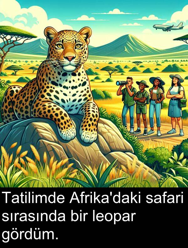 safari: Tatilimde Afrika'daki safari sırasında bir leopar gördüm.