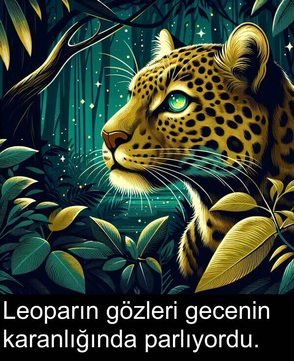 gecenin: Leoparın gözleri gecenin karanlığında parlıyordu.
