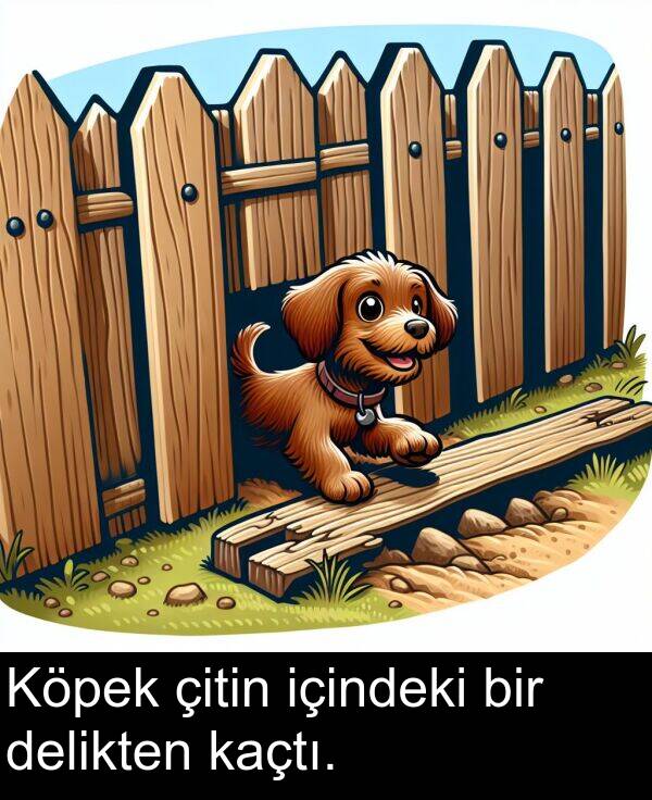 içindeki: Köpek çitin içindeki bir delikten kaçtı.