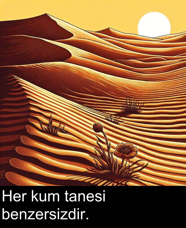 tanesi: Her kum tanesi benzersizdir.