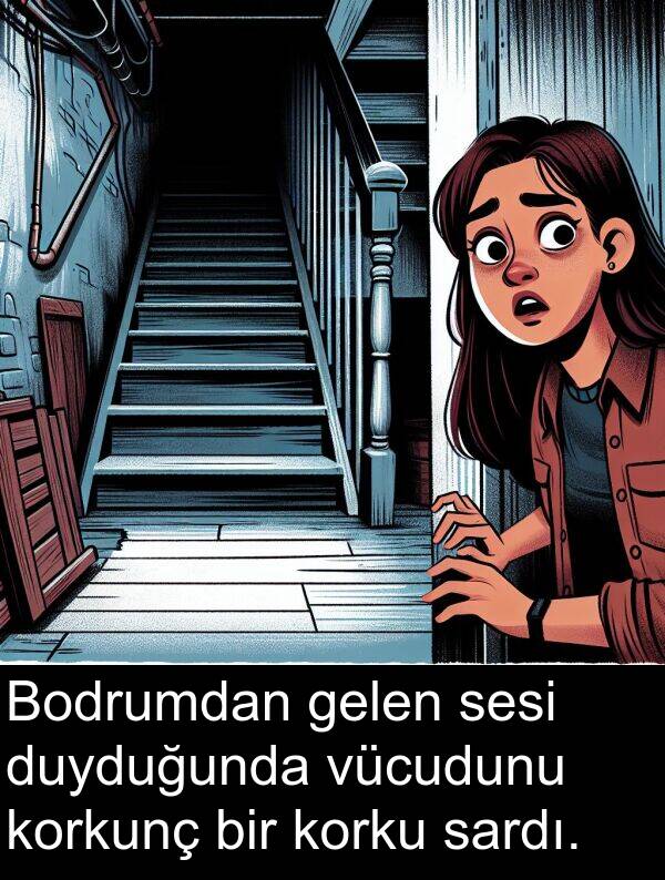 vücudunu: Bodrumdan gelen sesi duyduğunda vücudunu korkunç bir korku sardı.