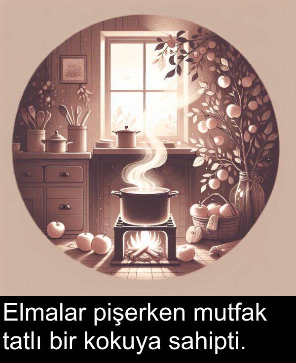sahipti: Elmalar pişerken mutfak tatlı bir kokuya sahipti.