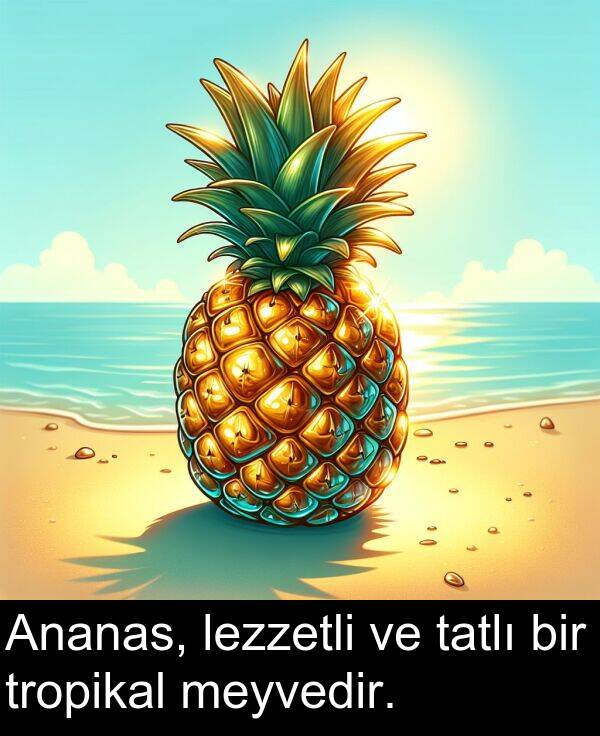 lezzetli: Ananas, lezzetli ve tatlı bir tropikal meyvedir.