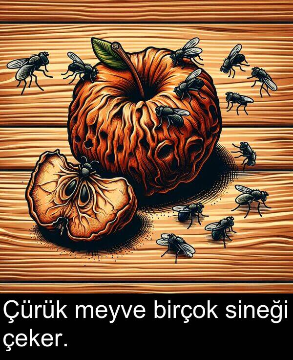 sineği: Çürük meyve birçok sineği çeker.