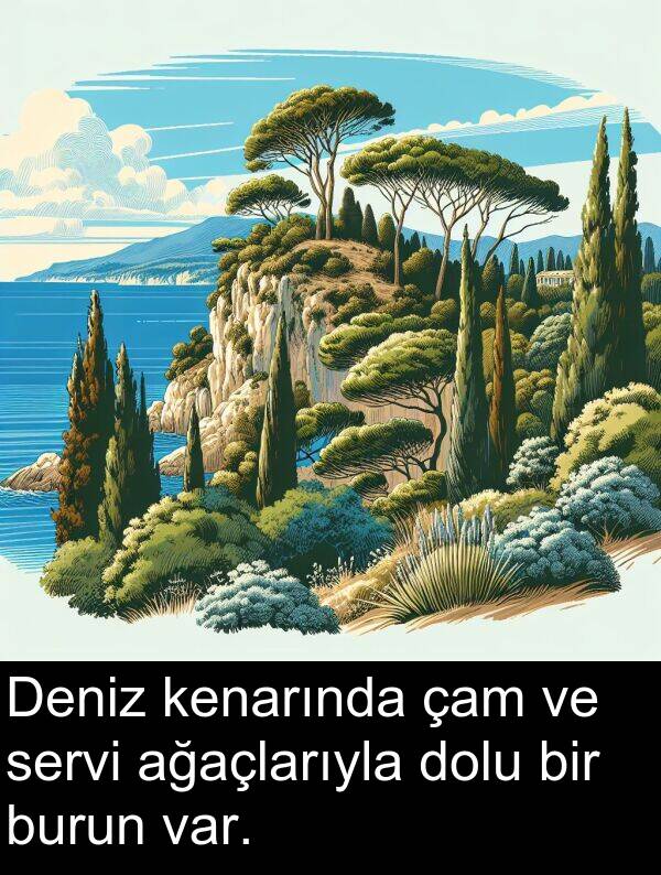ağaçlarıyla: Deniz kenarında çam ve servi ağaçlarıyla dolu bir burun var.