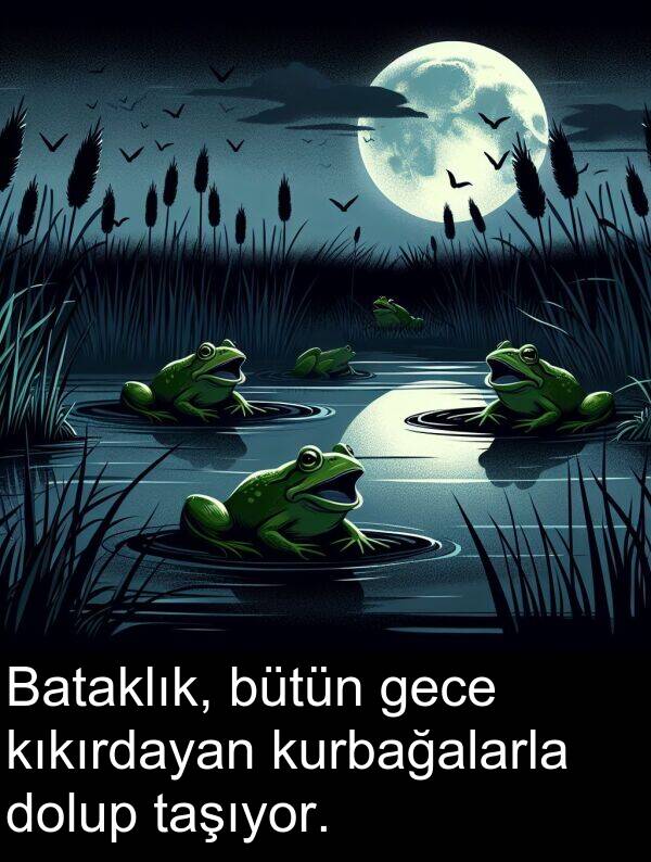 gece: Bataklık, bütün gece kıkırdayan kurbağalarla dolup taşıyor.