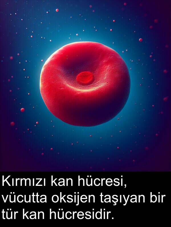 vücutta: Kırmızı kan hücresi, vücutta oksijen taşıyan bir tür kan hücresidir.