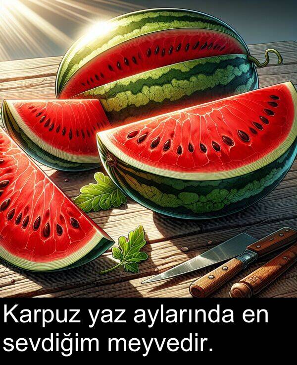 aylarında: Karpuz yaz aylarında en sevdiğim meyvedir.