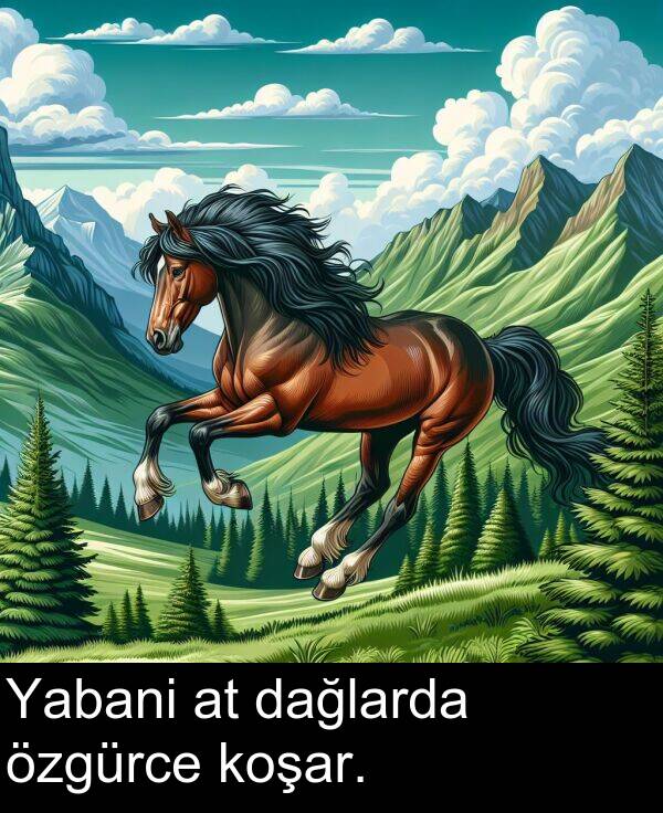 dağlarda: Yabani at dağlarda özgürce koşar.