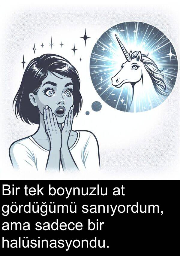 sanıyordum: Bir tek boynuzlu at gördüğümü sanıyordum, ama sadece bir halüsinasyondu.