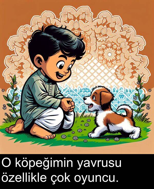 köpeğimin: O köpeğimin yavrusu özellikle çok oyuncu.