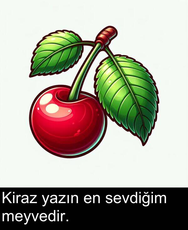 sevdiğim: Kiraz yazın en sevdiğim meyvedir.