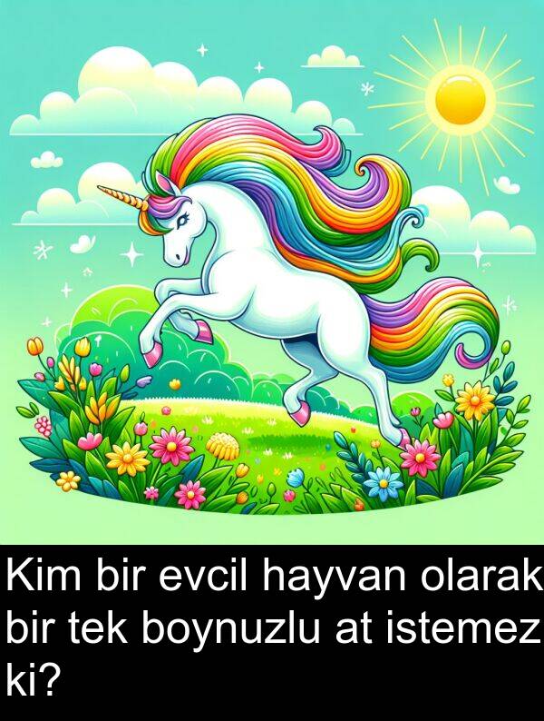 hayvan: Kim bir evcil hayvan olarak bir tek boynuzlu at istemez ki?