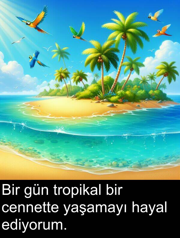 ediyorum: Bir gün tropikal bir cennette yaşamayı hayal ediyorum.