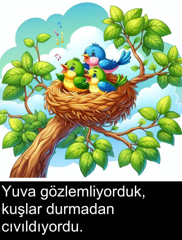 kuşlar: Yuva gözlemliyorduk, kuşlar durmadan cıvıldıyordu.