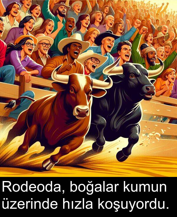 hızla: Rodeoda, boğalar kumun üzerinde hızla koşuyordu.
