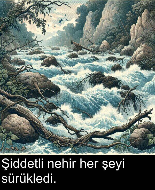 her: Şiddetli nehir her şeyi sürükledi.