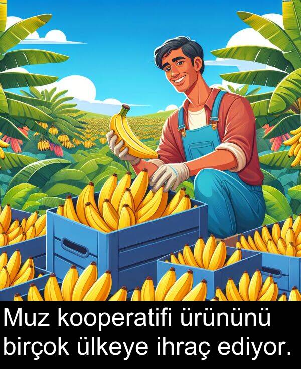 ediyor: Muz kooperatifi ürününü birçok ülkeye ihraç ediyor.