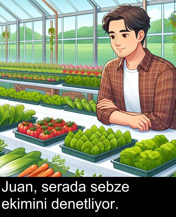 ekimini: Juan, serada sebze ekimini denetliyor.
