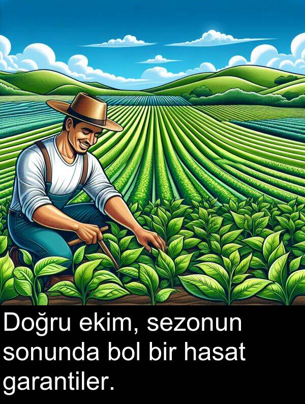 garantiler: Doğru ekim, sezonun sonunda bol bir hasat garantiler.