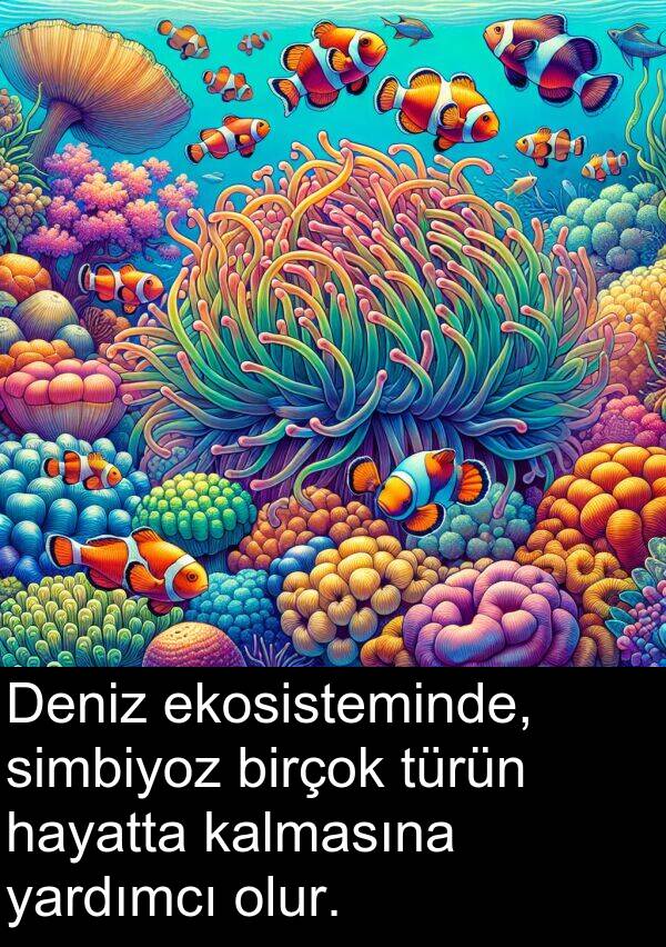 kalmasına: Deniz ekosisteminde, simbiyoz birçok türün hayatta kalmasına yardımcı olur.