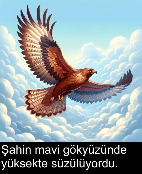 süzülüyordu: Şahin mavi gökyüzünde yüksekte süzülüyordu.