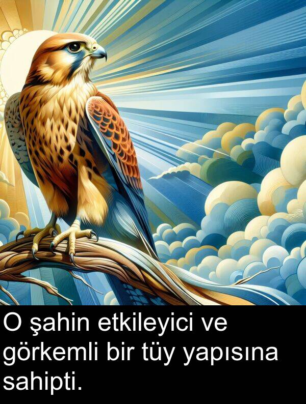 sahipti: O şahin etkileyici ve görkemli bir tüy yapısına sahipti.