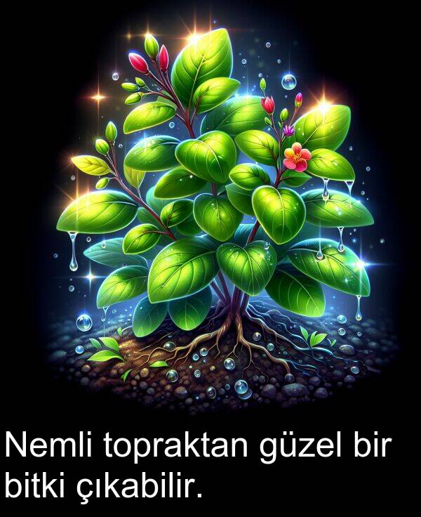 güzel: Nemli topraktan güzel bir bitki çıkabilir.