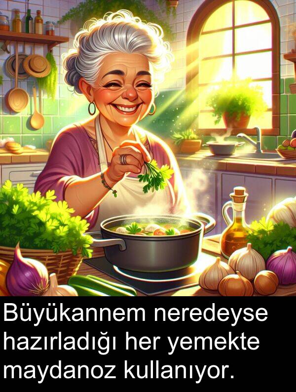 kullanıyor: Büyükannem neredeyse hazırladığı her yemekte maydanoz kullanıyor.