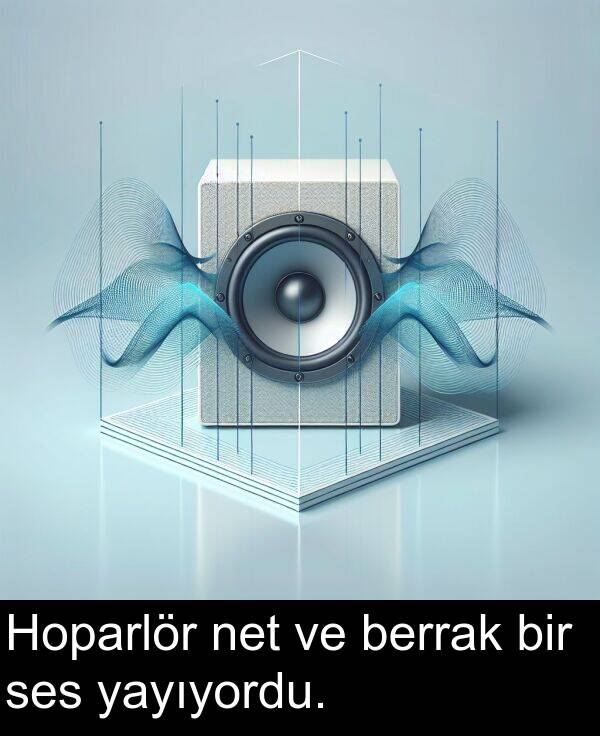 net: Hoparlör net ve berrak bir ses yayıyordu.