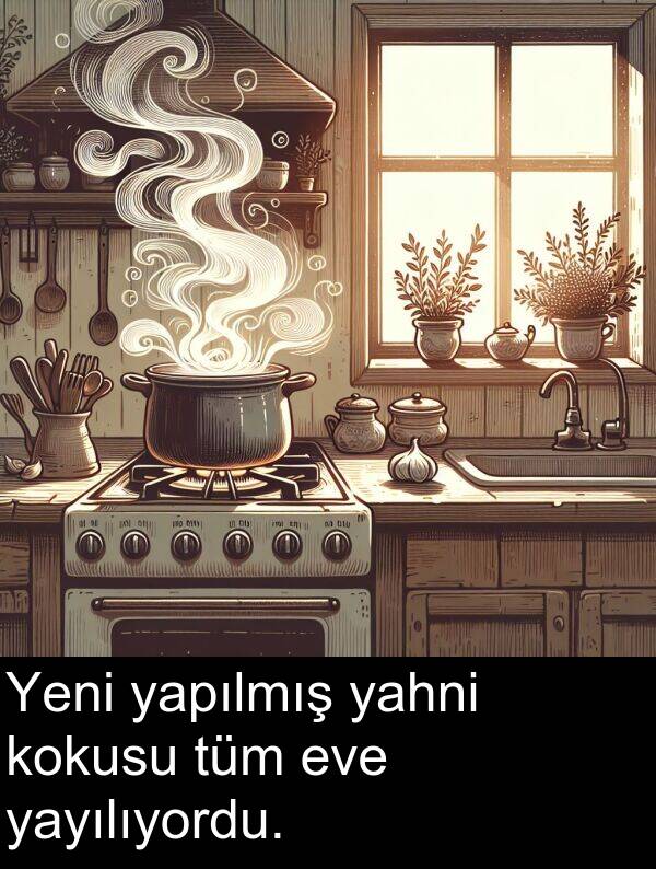 yapılmış: Yeni yapılmış yahni kokusu tüm eve yayılıyordu.