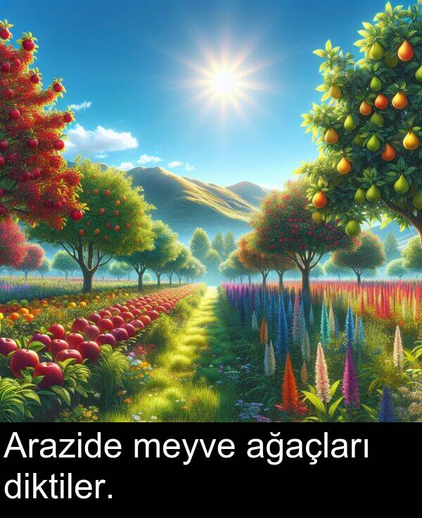 ağaçları: Arazide meyve ağaçları diktiler.