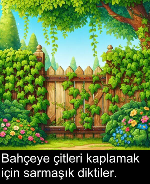 sarmaşık: Bahçeye çitleri kaplamak için sarmaşık diktiler.
