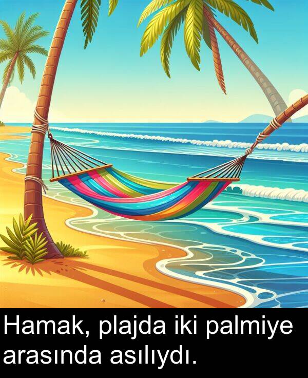 plajda: Hamak, plajda iki palmiye arasında asılıydı.