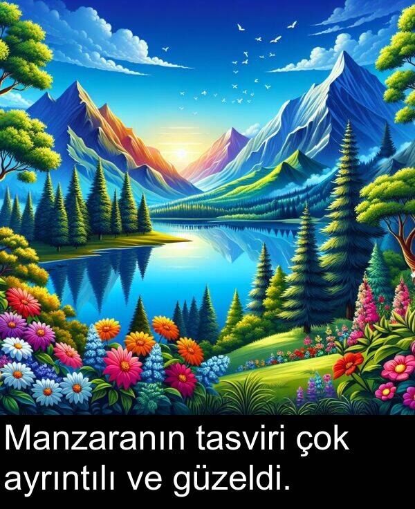tasviri: Manzaranın tasviri çok ayrıntılı ve güzeldi.