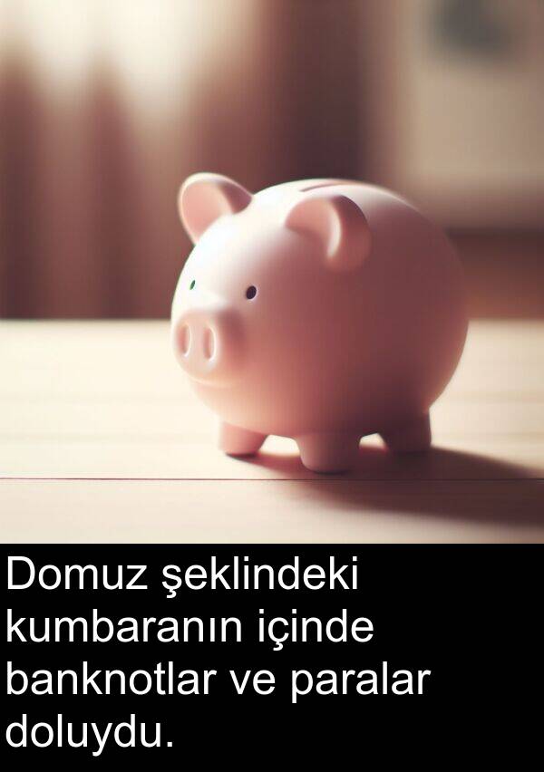 içinde: Domuz şeklindeki kumbaranın içinde banknotlar ve paralar doluydu.