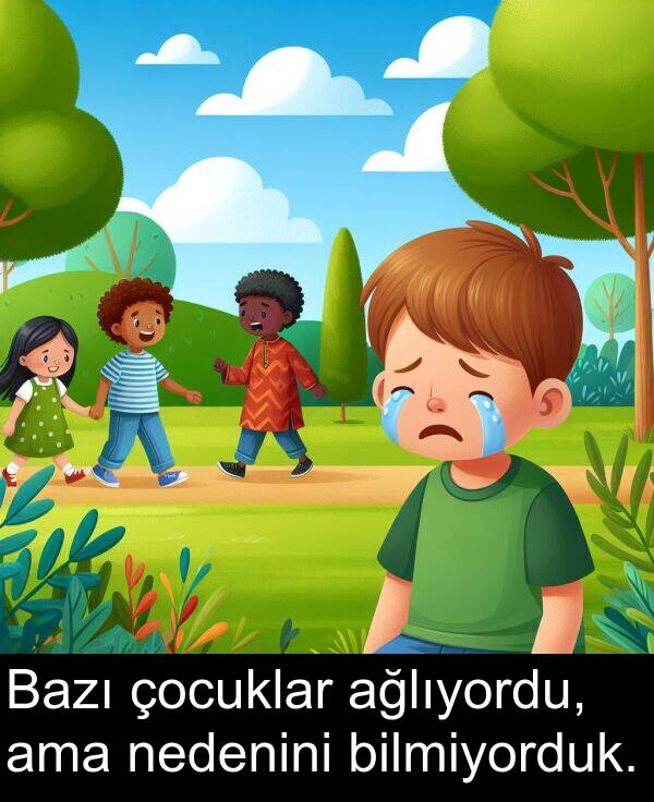nedenini: Bazı çocuklar ağlıyordu, ama nedenini bilmiyorduk.