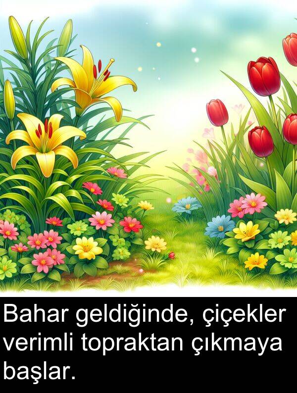 verimli: Bahar geldiğinde, çiçekler verimli topraktan çıkmaya başlar.